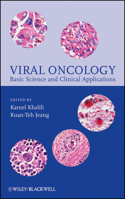Скачать книгу Viral Oncology. Basic Science and Clinical Applications