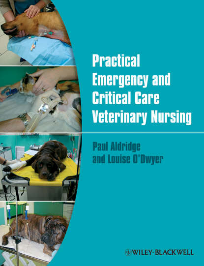 Скачать книгу Practical Emergency and Critical Care Veterinary Nursing