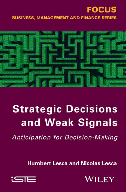 Скачать книгу Strategic Decisions and Weak Signals. Anticipation for Decision-Making