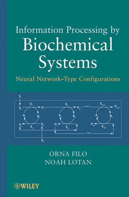 Скачать книгу Information Processing by Biochemical Systems. Neural Network-Type Configurations