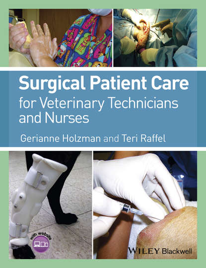 Скачать книгу Surgical Patient Care for Veterinary Technicians and Nurses