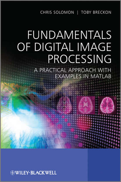 Скачать книгу Fundamentals of Digital Image Processing. A Practical Approach with Examples in Matlab