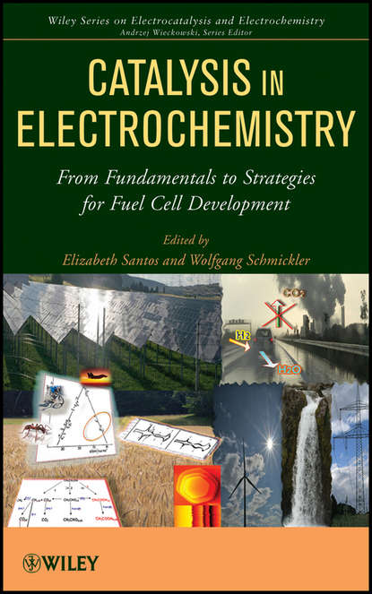 Скачать книгу Catalysis in Electrochemistry. From Fundamental Aspects to Strategies for Fuel Cell Development