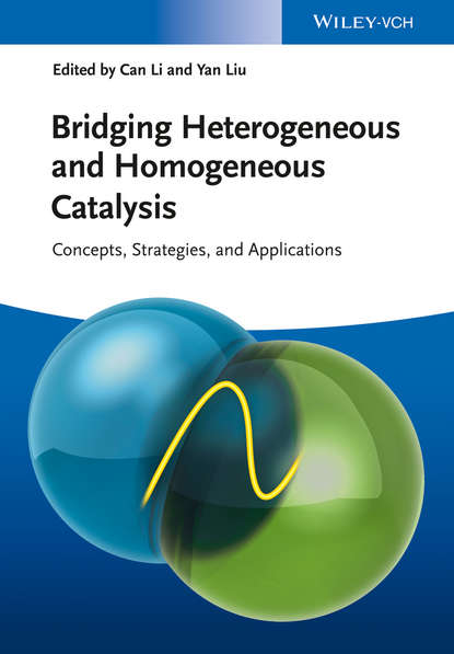 Скачать книгу Bridging Heterogeneous and Homogeneous Catalysis. Concepts, Strategies, and Applications
