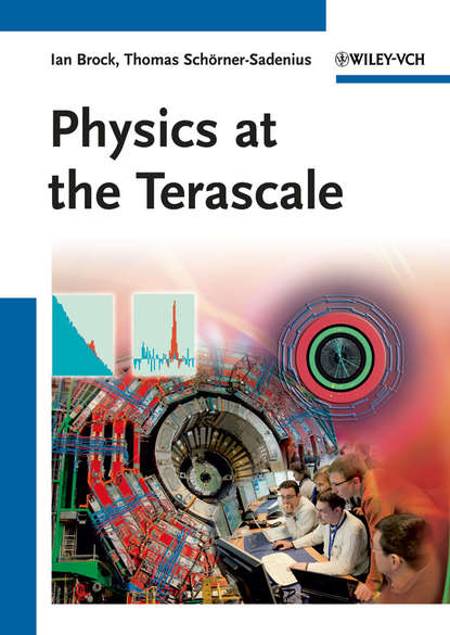 Скачать книгу Physics at the Terascale