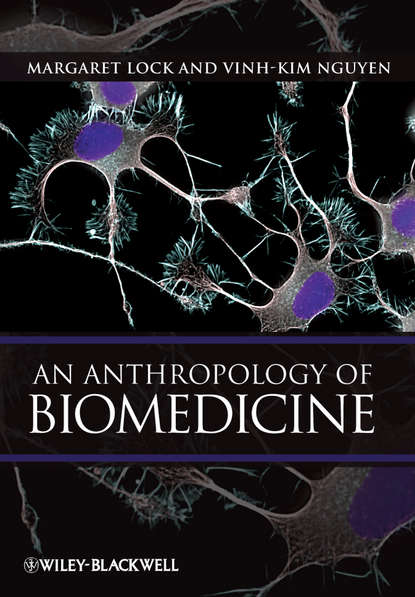 Скачать книгу An Anthropology of Biomedicine