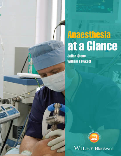 Скачать книгу Anaesthesia at a Glance