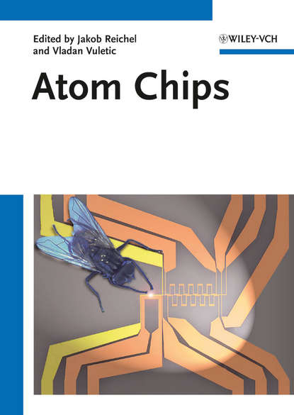 Скачать книгу Atom Chips