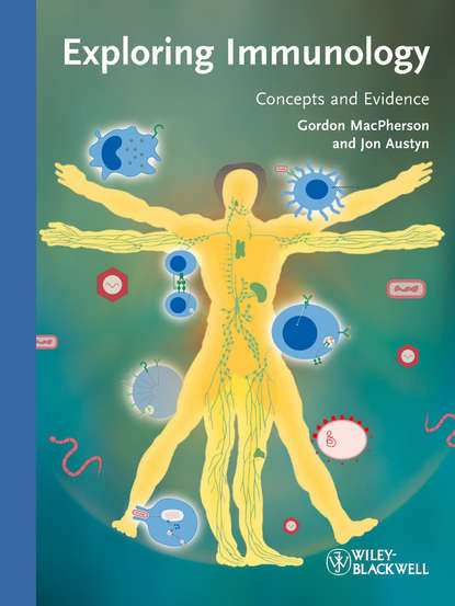 Скачать книгу Exploring Immunology. Concepts and Evidence