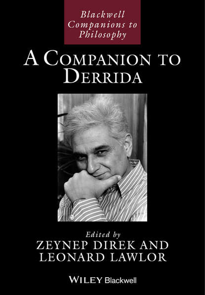 Скачать книгу A Companion to Derrida
