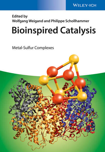 Скачать книгу Bioinspired Catalysis. Metal-Sulfur Complexes