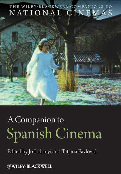 Скачать книгу A Companion to Spanish Cinema