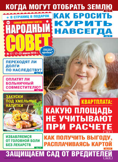 Скачать книгу Народный совет №17/2018