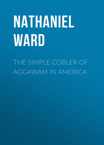 Скачать книгу The Simple Cobler of Aggawam in America