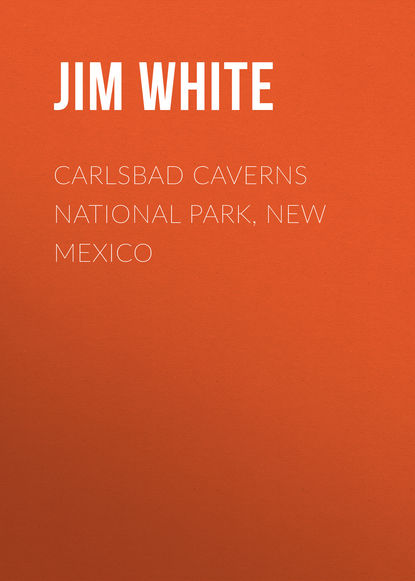 Скачать книгу Carlsbad Caverns National Park, New Mexico