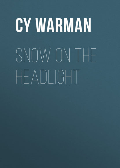 Скачать книгу Snow on the Headlight