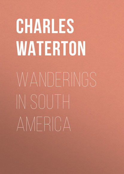 Скачать книгу Wanderings in South America