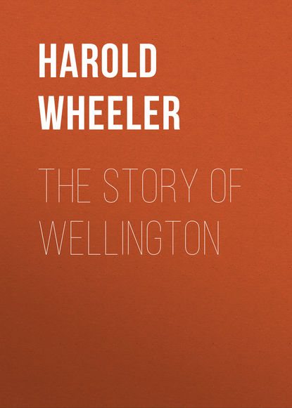 Скачать книгу The Story of Wellington