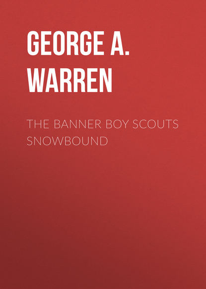 Скачать книгу The Banner Boy Scouts Snowbound