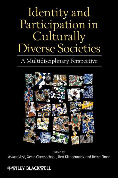 Скачать книгу Identity and Participation in Culturally Diverse Societies. A Multidisciplinary Perspective