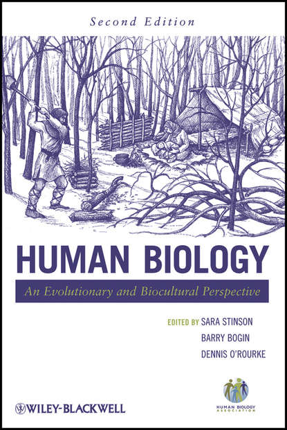 Скачать книгу Human Biology. An Evolutionary and Biocultural Perspective