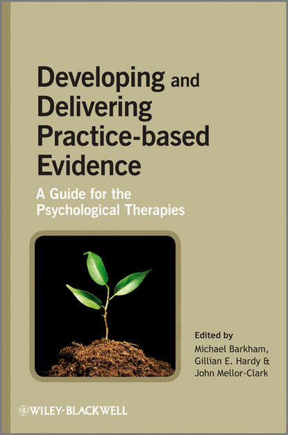 Скачать книгу Developing and Delivering Practice-Based Evidence. A Guide for the Psychological Therapies