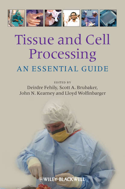 Скачать книгу Tissue and Cell Processing. An Essential Guide