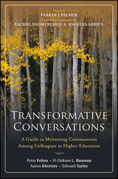 Скачать книгу Transformative Conversations. A Guide to Mentoring Communities Among Colleagues in Higher Education