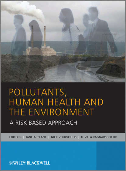 Скачать книгу Pollutants, Human Health and the Environment. A Risk Based Approach
