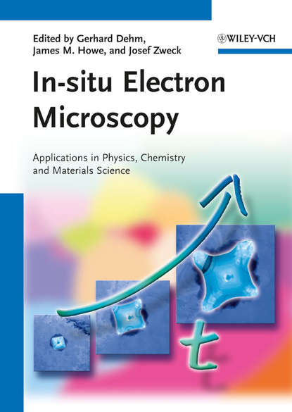 Скачать книгу In-situ Electron Microscopy. Applications in Physics, Chemistry and Materials Science