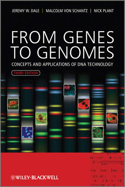 Скачать книгу From Genes to Genomes. Concepts and Applications of DNA Technology