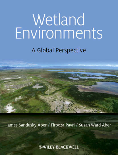 Скачать книгу Wetland Environments. A Global Perspective