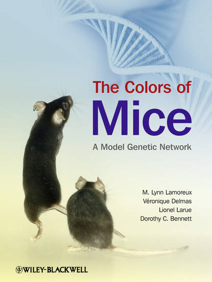 Скачать книгу The Colors of Mice. A Model Genetic Network