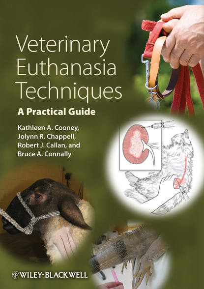 Скачать книгу Veterinary Euthanasia Techniques. A Practical Guide