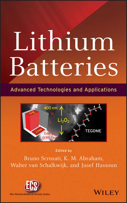 Скачать книгу Lithium Batteries. Advanced Technologies and Applications