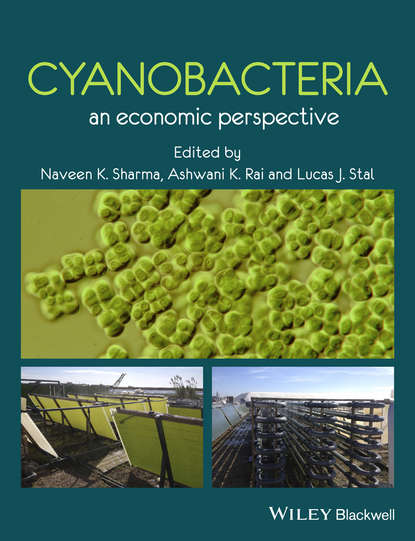 Скачать книгу Cyanobacteria. An Economic Perspective