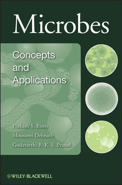 Скачать книгу Microbes. Concepts and Applications