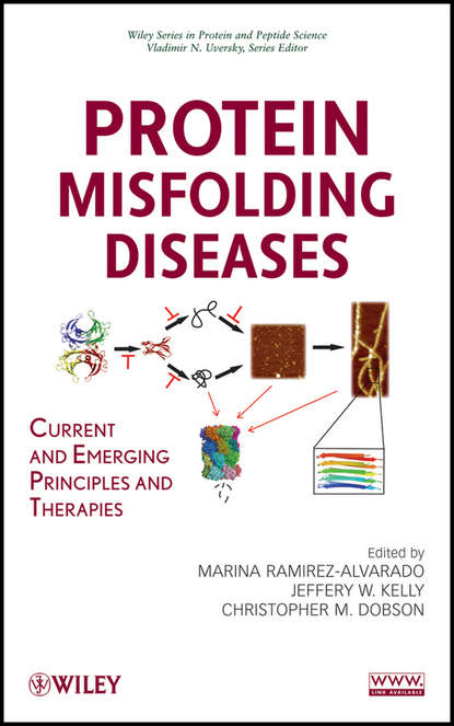 Скачать книгу Protein Misfolding Diseases. Current and Emerging Principles and Therapies
