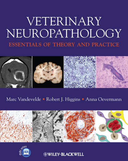 Скачать книгу Veterinary Neuropathology. Essentials of Theory and Practice