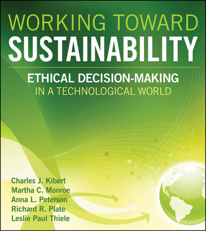 Скачать книгу Working Toward Sustainability. Ethical Decision-Making in a Technological World