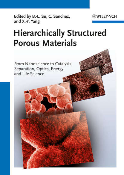 Скачать книгу Hierarchically Structured Porous Materials. From Nanoscience to Catalysis, Separation, Optics, Energy, and Life Science