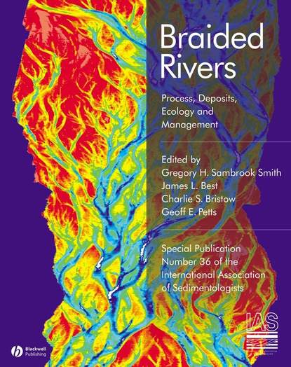Скачать книгу Braided Rivers. Process, Deposits, Ecology and Management (Special Publication 36 of the IAS)