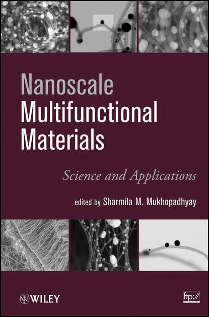 Скачать книгу Nanoscale Multifunctional Materials. Science & Applications