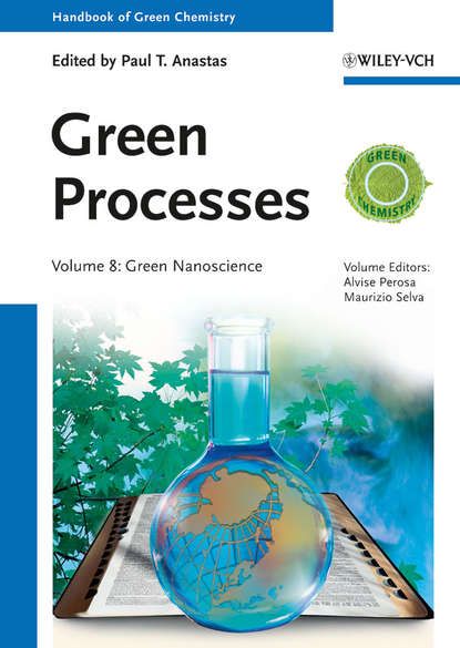 Скачать книгу Green Processes. Green Nanoscience