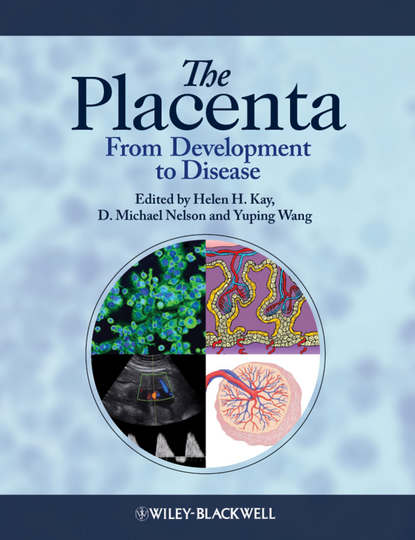 Скачать книгу The Placenta. From Development to Disease