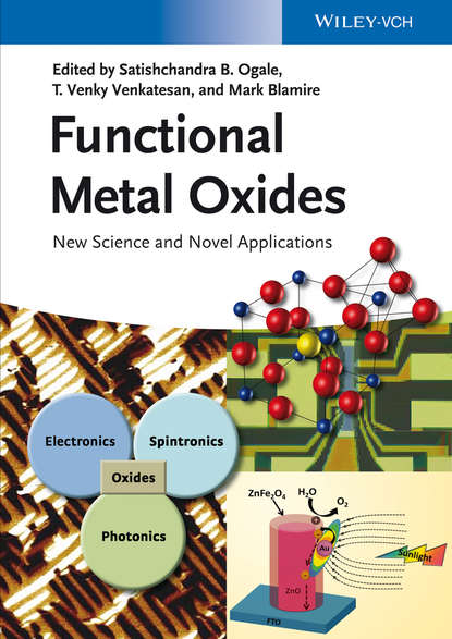 Скачать книгу Functional Metal Oxides. New Science and Novel Applications