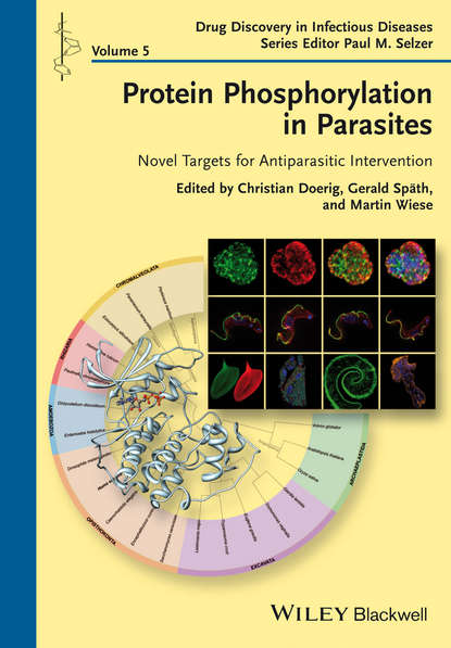 Скачать книгу Protein Phosphorylation in Parasites. Novel Targets for Antiparasitic Intervention