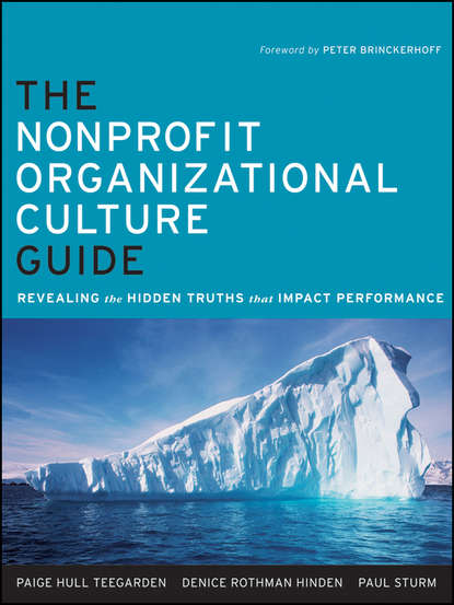 Скачать книгу The Nonprofit Organizational Culture Guide. Revealing the Hidden Truths That Impact Performance