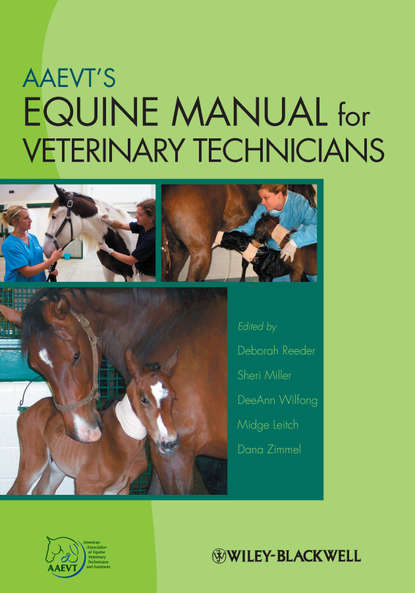 Скачать книгу AAEVT's Equine Manual for Veterinary Technicians