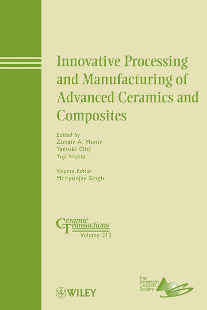 Скачать книгу Innovative Processing and Manufacturing of Advanced Ceramics and Composites